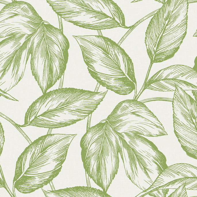Seabrook Designs Beckett Sketched Leaves Apple Green Wallpaper image 1 of 3