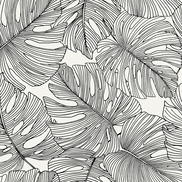 Seabrook Designs Tarra Monstera Leaf Contrasto Wallpaper