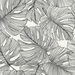Seabrook Designs Tarra Monstera Leaf Contrasto Wallpaper thumbnail image 1 of 3