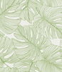 Seabrook Designs Tarra Monstera Leaf Hill Green Wallpaper