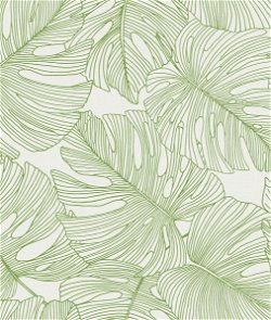 Seabrook Designs Tarra Monstera Leaf Hill Green Wallpaper