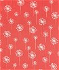 Premier Prints Small Dandelion Coral/White Canvas Fabric