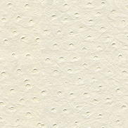 Kravet SENNA.101 Fabric