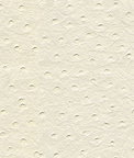 Kravet SENNA.101 Fabric