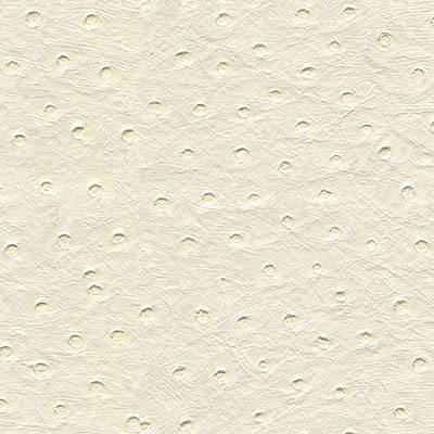 Kravet SENNA.101 Fabric