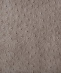 Kravet SENNA.11 Fabric