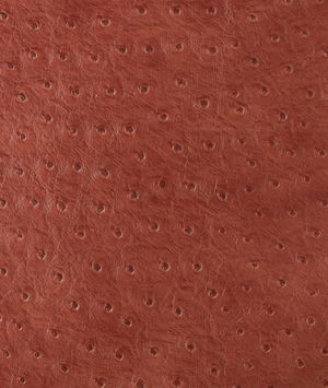 Kravet SENNA.19 Fabric