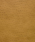 Kravet SENNA.4 Fabric