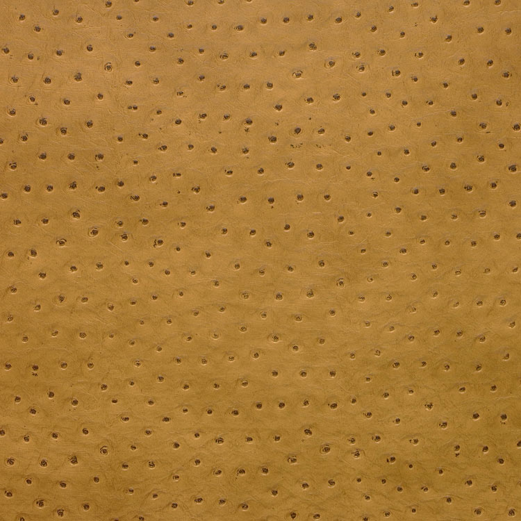 Kravet SENNA.4 Fabric