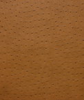 Kravet SENNA.616 Fabric