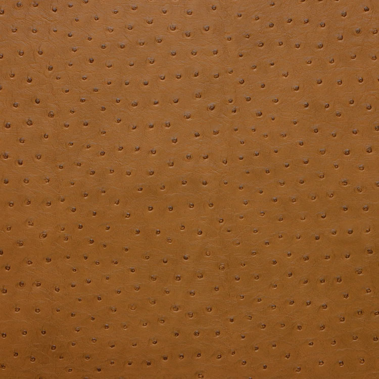 Kravet SENNA.616 Fabric