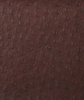 Kravet SENNA.66 Fabric