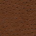 Kravet SENNA.6 Fabric