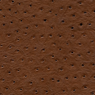 Kravet SENNA.6 Fabric