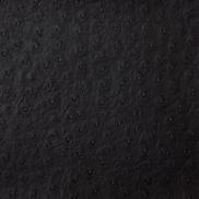 Kravet SENNA.8 Fabric