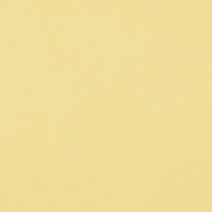 Light Yellow Polar Fleece Fabric image 2 of 2