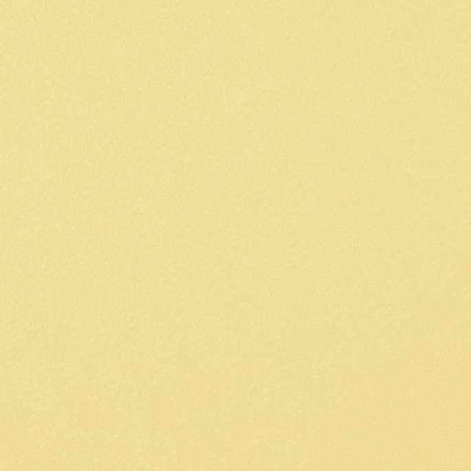 Light Yellow Polar Fleece Fabric image 2 of 2