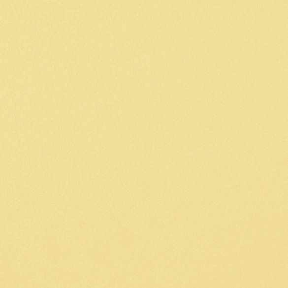 Light Yellow Polar Fleece Fabric | OnlineFabricStore