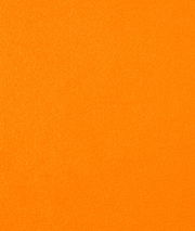 Fabric Traditions Las Vegas Raiders NFL Fleece Fabric