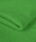 Kelly Green Polar Fleece Fabric