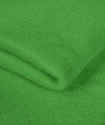 Kelly Green Polar Fleece