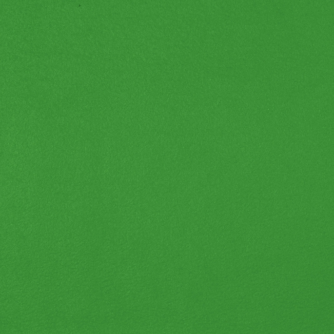 Kelly Green Polar Fleece Fabric image 2 of 2