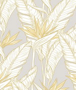 Stacy Garcia Home Peel & Stick Birds of Paradise Grey & Metallic Gold Wallpaper