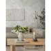 Stacy Garcia Home Peel &amp; Stick Fossil Palm Natural Wallpaper thumbnail image 3 of 6