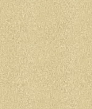 Kravet Side Kick Fog Fabric