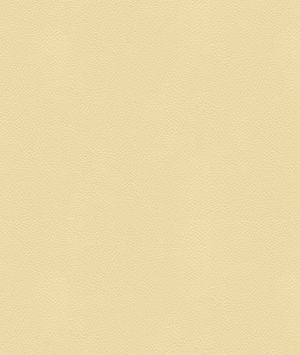 Kravet Side Kick Swan Fabric