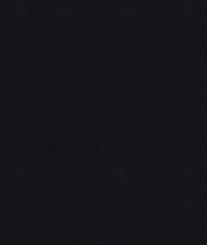 Kravet Side Kick Raven Fabric