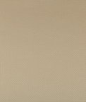 Kravet Sidney Bronze Fabric
