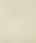 Kravet Sidney Stucco Fabric