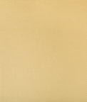 Kravet Sidney Soft Gold Fabric