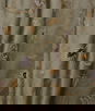 RK Classics Kochi Silk Embroidery Shantung Brass Fabric