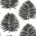 Seabrook Designs Island Palm Day & Night Wallpaper
