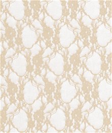Champagne Stretch Lace Fabric