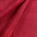 Red Minky Fabric