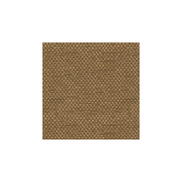 Kravet Couture Sp-81782-18 Fabric