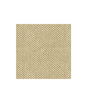 Kravet Couture Sp-81782-68 Fabric