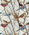 Kravet SPARROWS2.916 Perched Multi Fabric