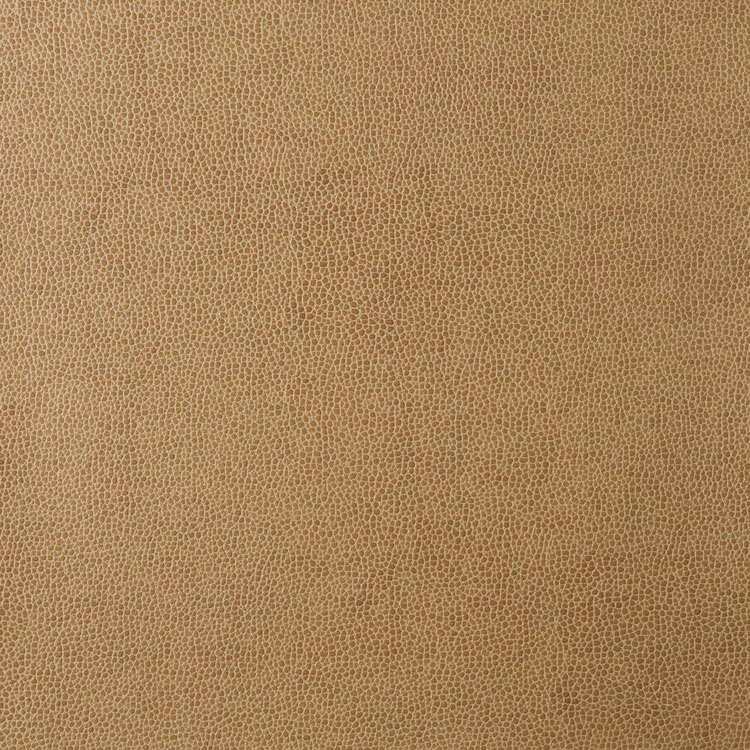 Kravet SPARTA.16 Fabric