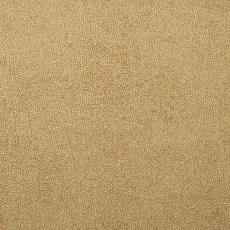 Kravet SPARTA.1 Fabric