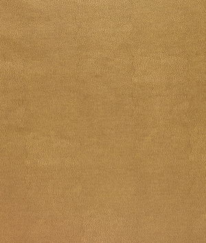 Kravet SPARTA.404 Fabric