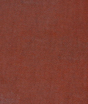 Kravet SPARTA.624 Fabric
