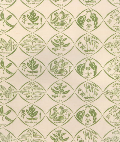 Kravet Spices Cactus Fabric