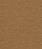 Kravet Split.166.0 Fabric