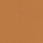 Kravet Split.606.0 Fabric