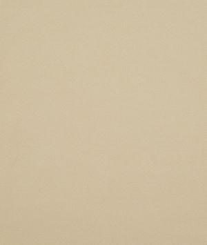Oatmeal Sensuede Fabric