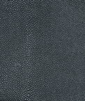 Nassimi Shagreen Barracuda Vinyl